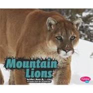 Mountain Lions
