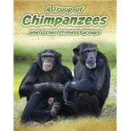 A Troop of Chimpanzees, and Other Primate Groups