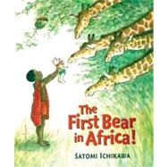 The First Bear in Africa!