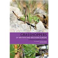 Grasshoppers of Britain and Western Europe