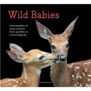 Wild Babies Photographs of Baby Animals from Giraffes to Hummingbirds