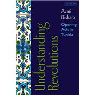 Understanding Revolutions