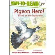 Pigeon Hero! Ready-to-Read Level 2