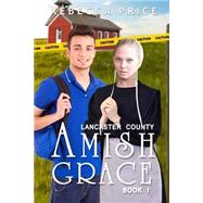 Lancaster County Amish Grace