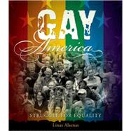 Gay America Struggle for Equality