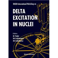 Riken International Workshop on Delta Excitation in Nuclei