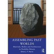 Assembling Past Worlds