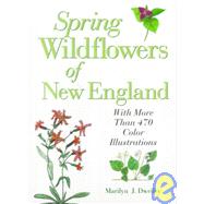 Spring Wildflowers of New England