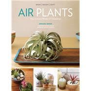 Air Plants The Curious World of Tillandsias