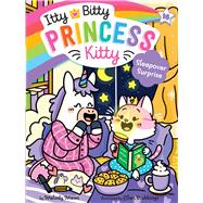 Sleepover Surprise book cover, ISBN 9781665974899