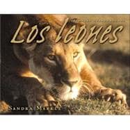 Los Leones/lions