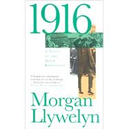 1916 A Novel of the Irish Rebellion