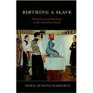 Birthing a Slave