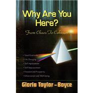 Why Are You Here?: From Chaos to Cohesion