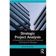 Strategic Project Analysis