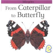 From Caterpillar to Butterfly