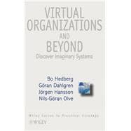 Virtual Organizations and Beyond Discovering Imaginary Systems