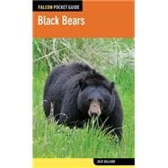 Black Bears