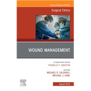 Wound Management, An Issue of Surgical Clinics, E-Book