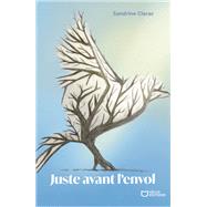 Juste avant l'envol
