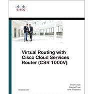 Virtual Routing in the Cloud