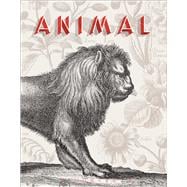 Animal A Beastly Compendium