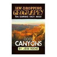 Fun Learning Facts About Cool Canyons
