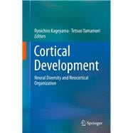 Cortical Development