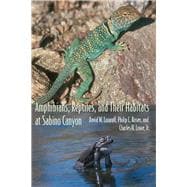 Amphibians, Reptiles, and Their Habitats at Sabino Canyon