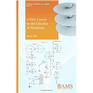 A First Course in the Calculus of Variations