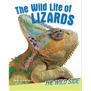 The Wild Life of Lizards
