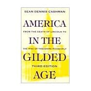 America in the Gilded Age : From the Death of Lincoln to the Rise of Theodore Roosevelt