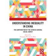 Understanding Inequality in China