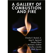 A Gallery of Combustion and Fire