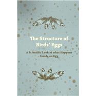 The Structure of Birds' Eggs - A Scientific Look at what Happens Inside an Egg