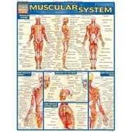 Muscular System Quick Study Reference Guide