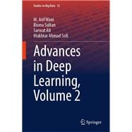 Advances in Deep Learning, Volume 2,9789819634972