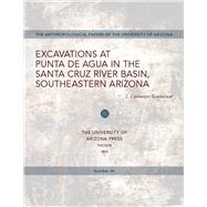 Excavations at Punta De Agua in the Santa Cruz River Basin Southeastern Arizona.