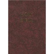 Holy Bible: New American Bible - Burgandy