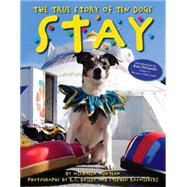 Stay: The True Story of Ten Dogs