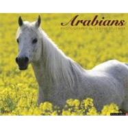 Arabians 2013