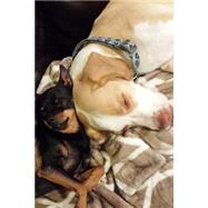 Let Sleeping Dogs Lay