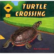 Turtle Crossing