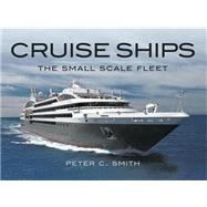Cruise Ships The Small Scale Fleet