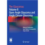 The Glaucomas