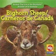 Bighorn Sheep/ Carnero De Canada