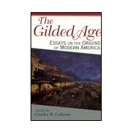 The Gilded Age Essays on the Origins of Modern America