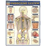 Endocrine System Reference Guide