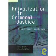 Privatization in Criminal Justice