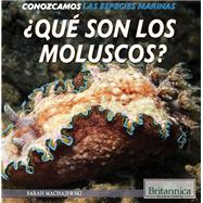 Qué son los moluscos?/ What Are Mollusks?